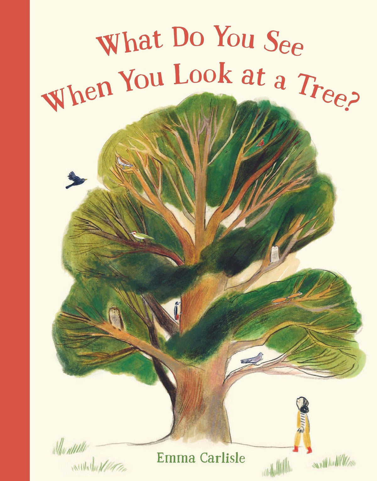 What Do You See When You Look at a Tree? By Emma Carlisle from Penguin Random House