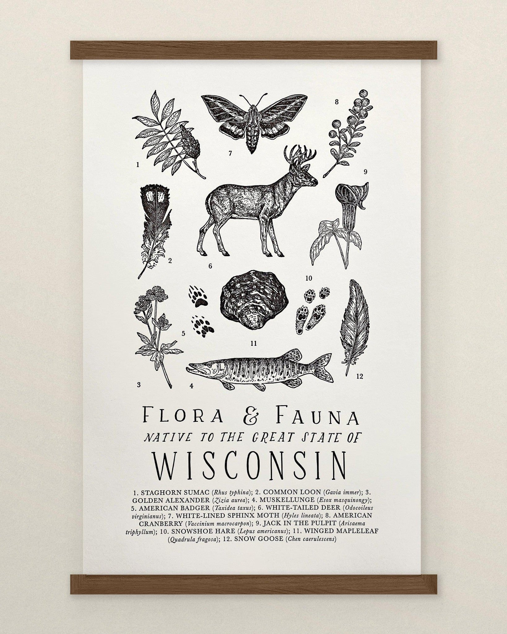 Wisconsin - The Wild Wander Wisconsin Field Guide Letterpress Print.