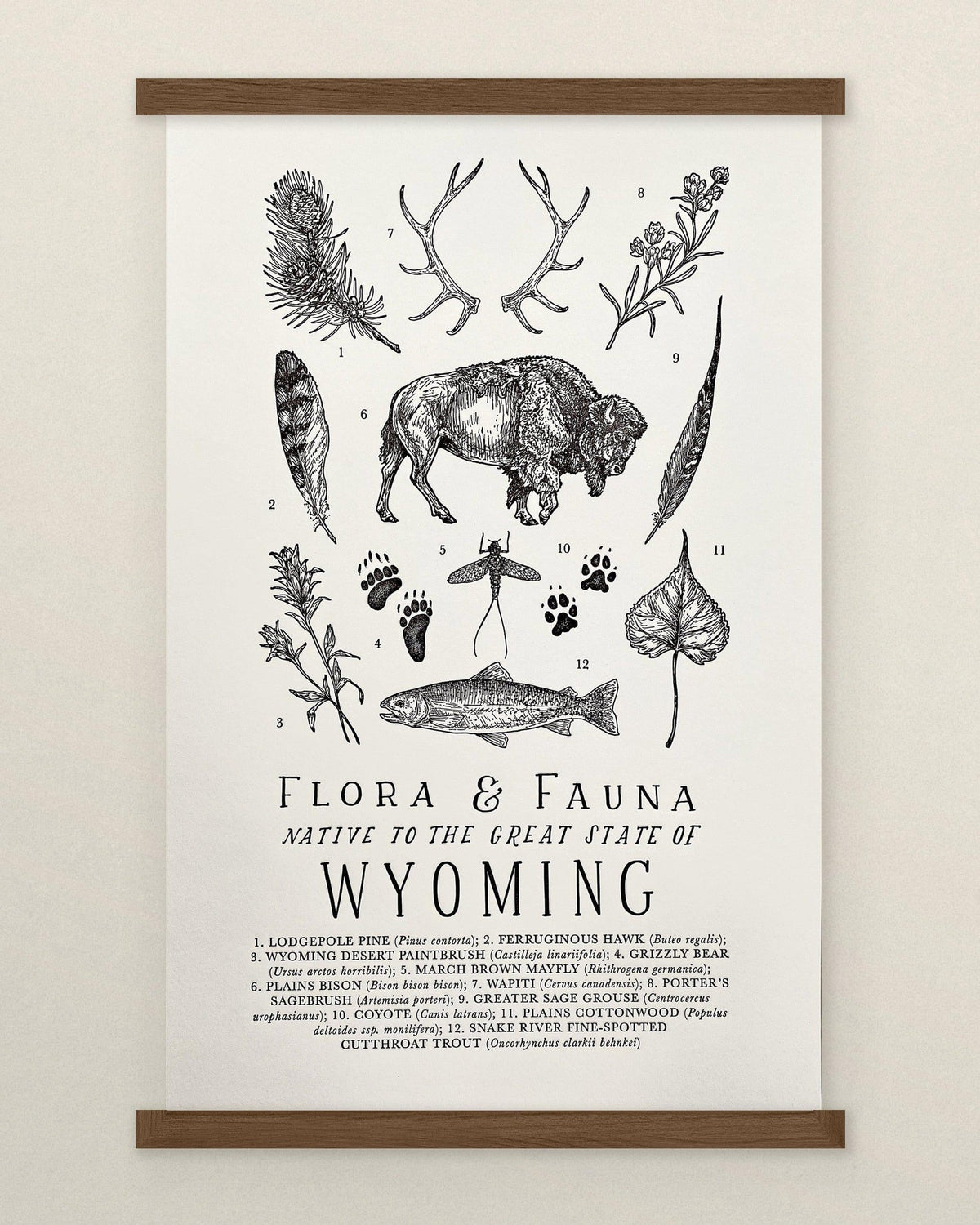 A Wyoming Field Guide Letterpress Print with a picture of various plants and animals from The Wild Wander.