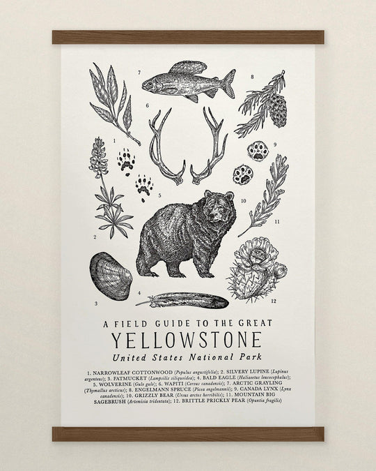 National Park & Trails Wall Art by The Wild Wander